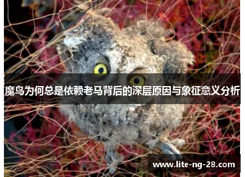 魔鸟为何总是依赖老马背后的深层原因与象征意义分析