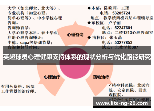 英超球员心理健康支持体系的现状分析与优化路径研究
